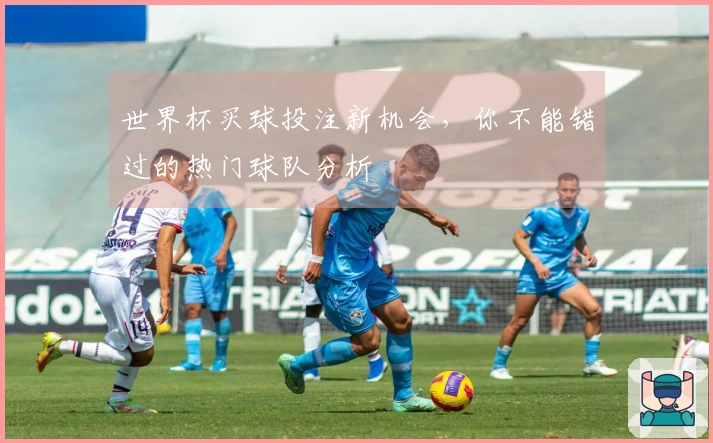 世界杯买球投注新机会，你不能错过的热门球队分析