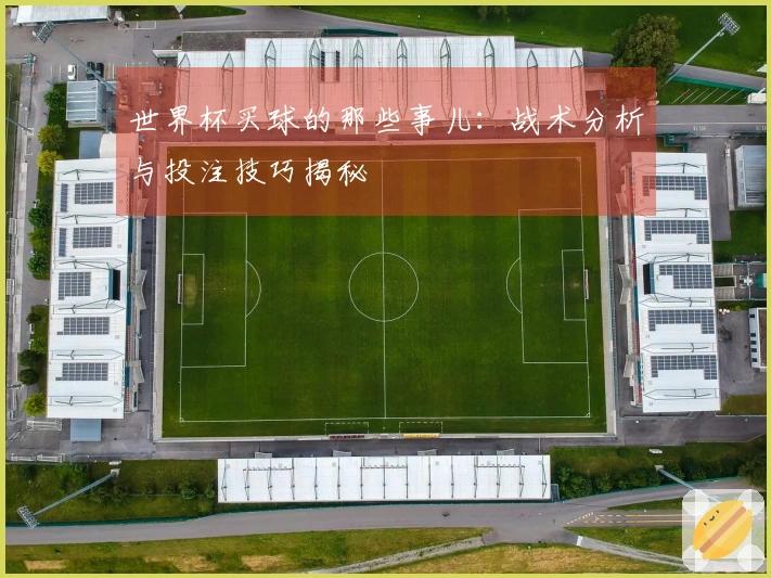 世界杯买球的那些事儿：战术分析与投注技巧揭秘