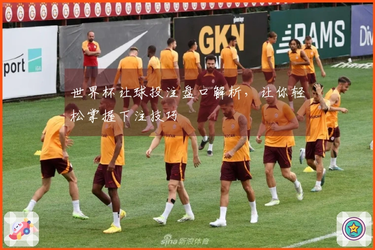 世界杯让球投注盘口解析，让你轻松掌握下注技巧