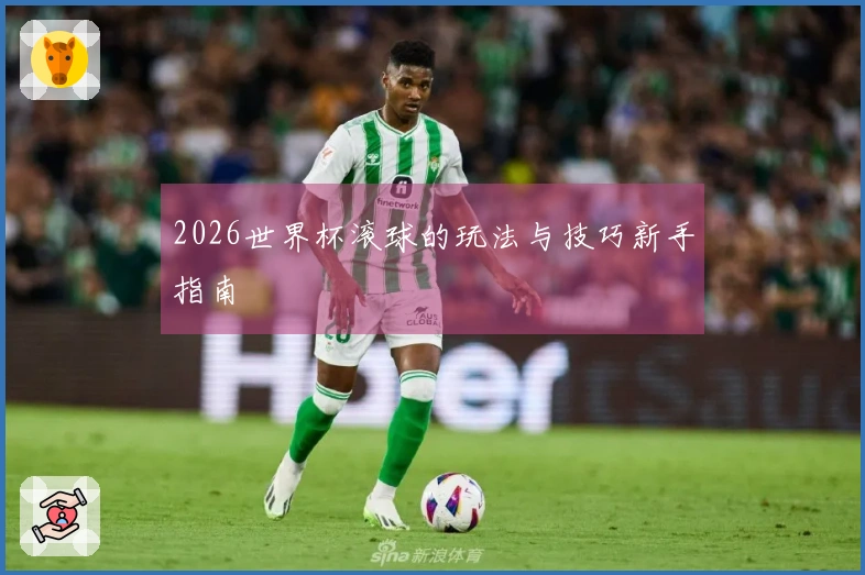 2026世界杯滚球的玩法与技巧新手指南