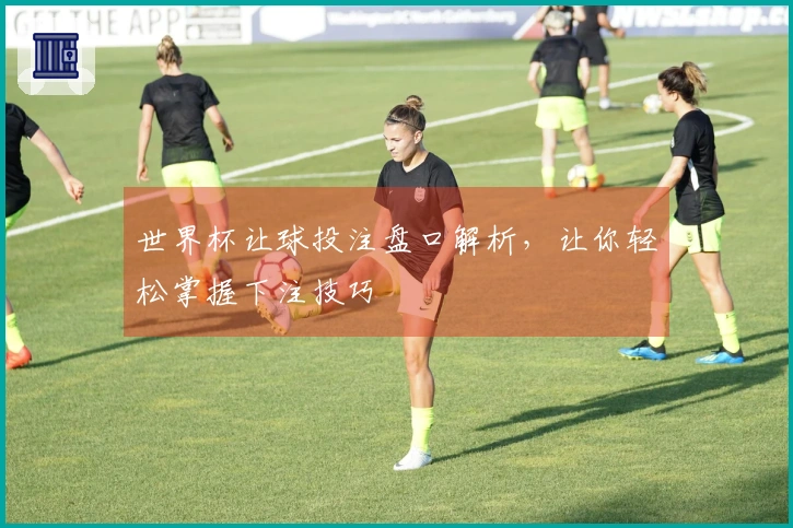 世界杯让球投注盘口解析，让你轻松掌握下注技巧