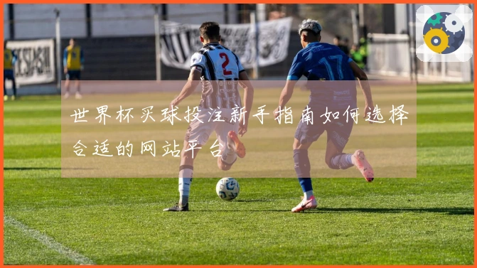 世界杯买球投注新手指南如何选择合适的网站平台