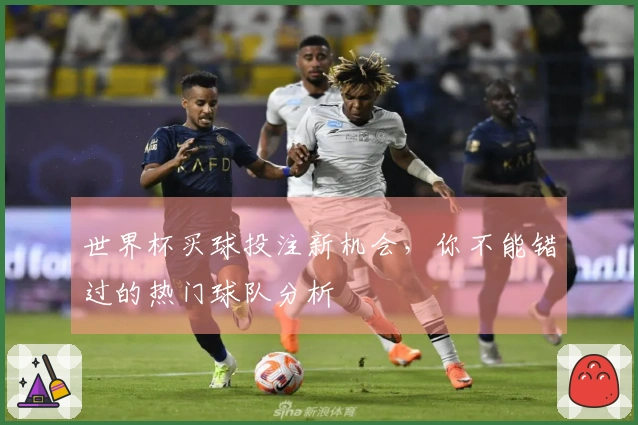 世界杯买球投注新机会，你不能错过的热门球队分析